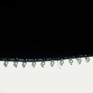 Black Classy Lbd Pearl Trim Hem Designer Sheath Work/Office Dress